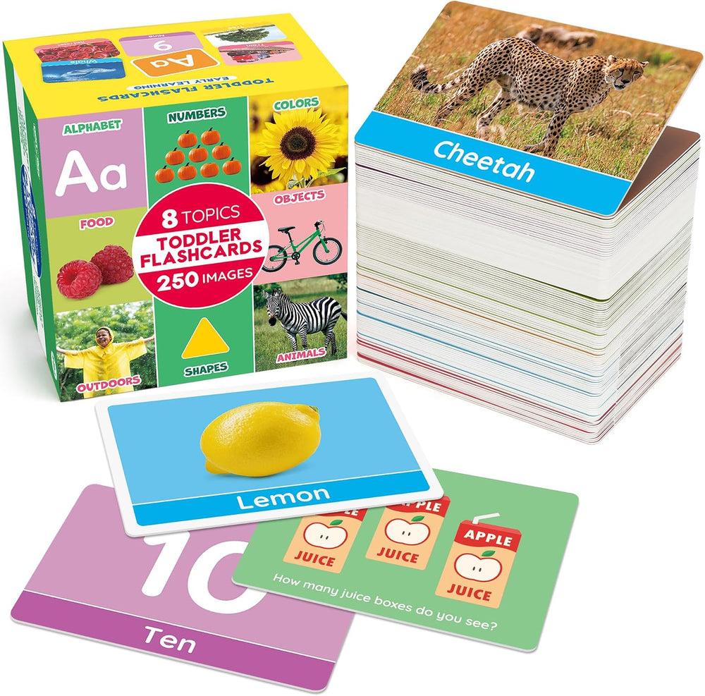 BenBen Flash Cards