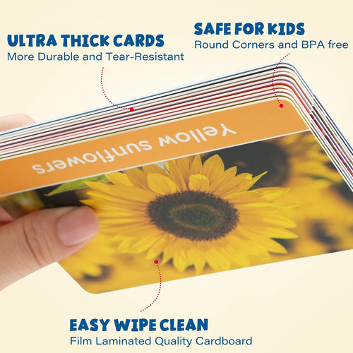 BenBen Flash Cards
